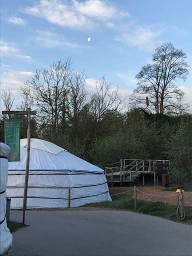 Nachtwandeln im Zoo